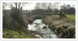 An Investigation of the Hydraulic Impact of Floodplain Woodland