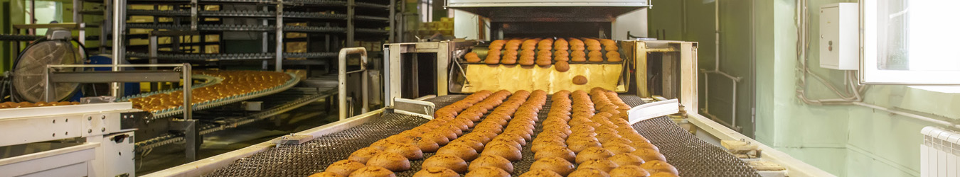 Bread on a conveyor belt in a factory