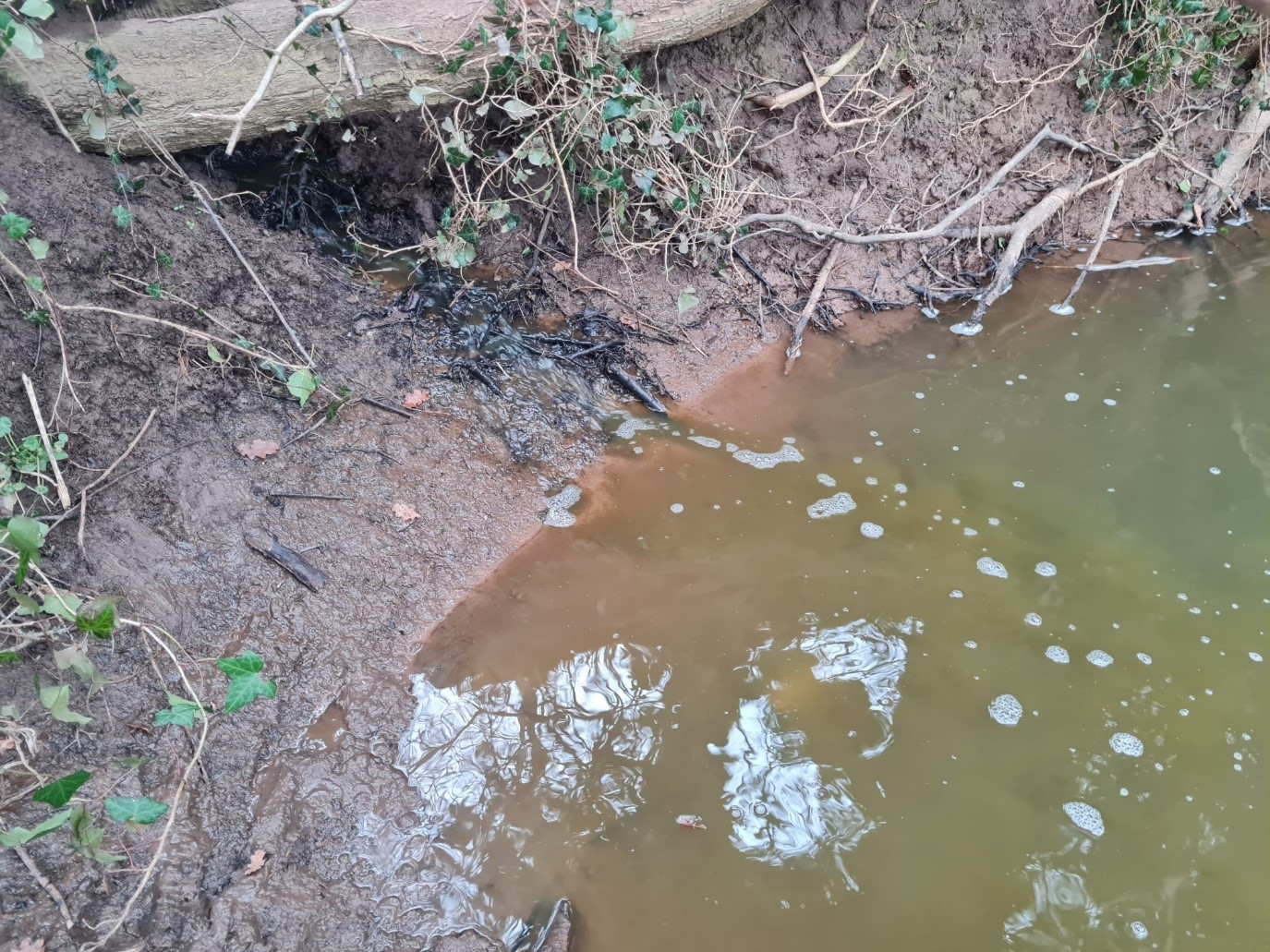 sewage in river